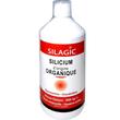 SILAGIC SILICIUM ORGANIQUE+GLUCOSAMINE+CHONDROITINE 1L 